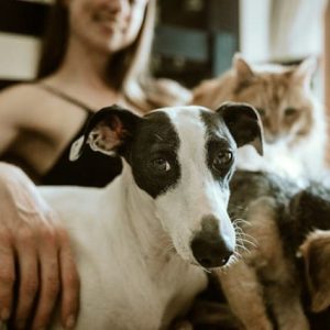 mujer feliz con gato y perros. Seguro mscotas.